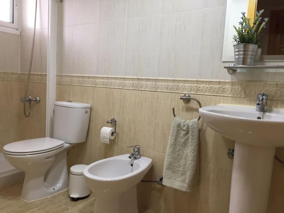 Cp Appartement